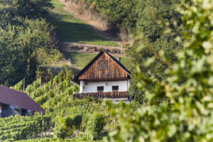 Weinurlaub im Ferienhaus Südsteiermark